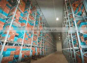 Cold Storage thumbnail-3