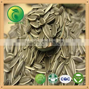 Sunflower Seeds Ton Price High Quality thumbnail-1