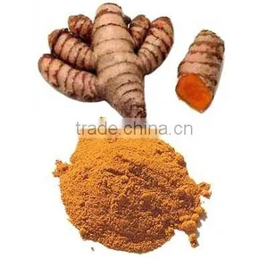 Turmeric Oil Pure thumbnail-1