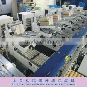 Full-Auto Egg Grading Machine thumbnail-1