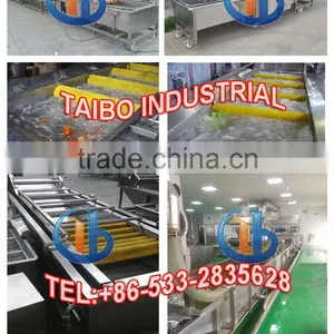 Industrial Fruit Vegetable Washer (with Hair Roller for Purification) thumbnail-4