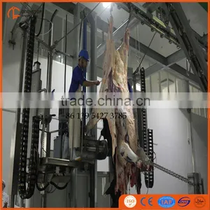 500 Cattle Slaughter Line Equipment With Good Layout Design thumbnail-5