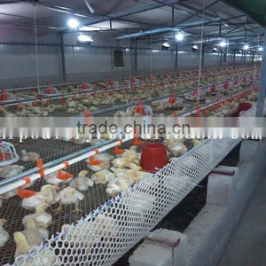 Easy Install Chicken Broiler Farm House for Sale thumbnail-1