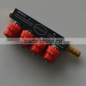 3cyl Cng/lpg Common Injector Rail Fit for v3 or v6 Vehicles thumbnail-1