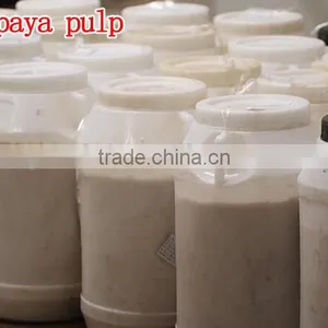 100% Natural High Quality Papaya Powder Factory Supply Dry Papaya Powder thumbnail-4
