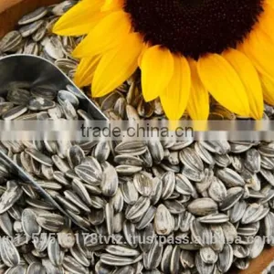 Roasted Sunflower Seed thumbnail-1