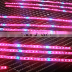 SMD 5050RGB Led Rigid Strips (DC12V 3.6W/0.5M)ADS-501215 thumbnail-2