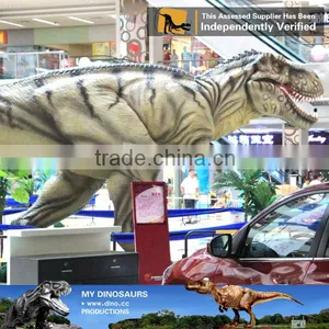 MY Dino-C087 Museum Realistic Resin Dinosaur Models thumbnail-2