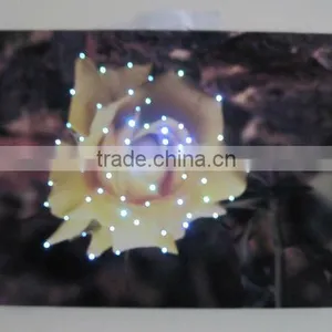 LED Flower Optical Fiber Canvas Art Painting Light thumbnail-1