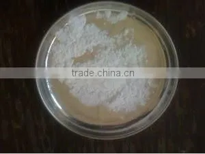 Thailand High Quality White Starch Powder for Sale thumbnail-1