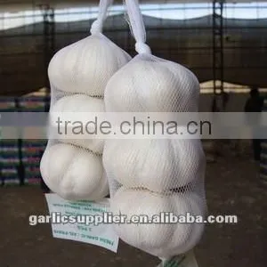 Snow White Garlic New Crop thumbnail-3