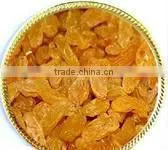 Golden Raisin-High Quality thumbnail-1