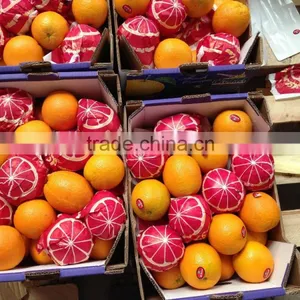 Forwell Oranges From Egypt thumbnail-2