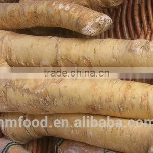 Spicy Fresh Horseradish thumbnail-4