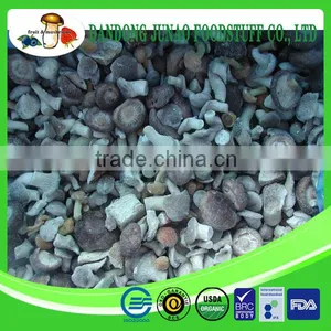 New Crop Mixed Iqf Mushroom Greenhouse thumbnail-1
