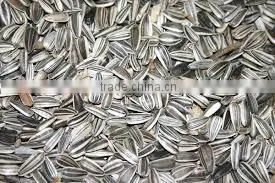 New Arrival Organic Sunflower Seeds With Best Price thumbnail-3