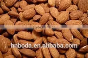 Cashew Nut Hot Air Machinery thumbnail-4