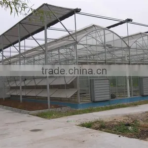 Hot Sale Multi-span Greenhouse With Vegetable Farming Equipment thumbnail-5