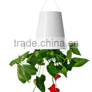 Magic Sky Planter Plastic Flower Pot Hanging Planter Plastic Flower Pot Supplier From China thumbnail-1