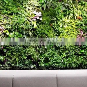 Eco-friendly Artificial Plant Wall ,artificial Vertical Green Wall, Grass Wall Indoor or Outdoor thumbnail-2