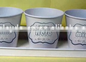 Metal Flower Pots/planter in Tray thumbnail-2