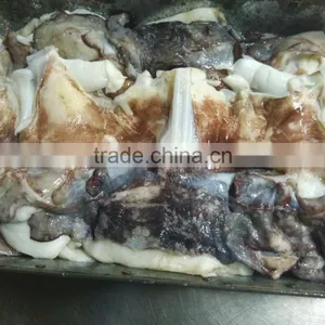 Frozen Giant Squid Neck thumbnail-2