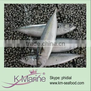 Cheap Wholesale Frozen Mackerel Prices Lot Number#kmw4053 thumbnail-1
