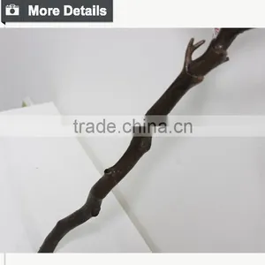 Buy Direct From China Manufacturer Dry Tree Branches for Wedding Decoration thumbnail-4