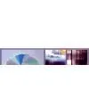 Window Decoration Film thumbnail-1
