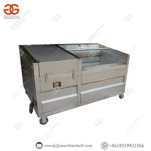 Carrot Processing Machine With Soft Brush Apple / Orange / Leaf thumbnail-1