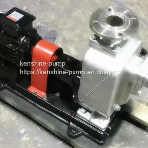 JMZ Stainless Steel Self-priming Chemical Centrifugal Pump thumbnail-5