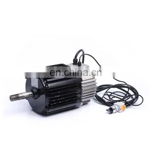 Custom 220Vac 1000w 2000w 250w 2kw 36v 250w 3000w Bldc Hub Motor Car Brushless dc Motor thumbnail-2