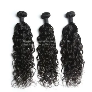 Curly 100% Human Hair Bundles Brazilian Hair Cuticle Aligned Raw Virgin Hair thumbnail-2