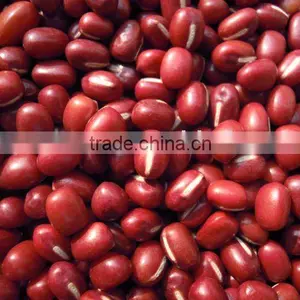 Small Red Bean (common or Organic Type) thumbnail-1