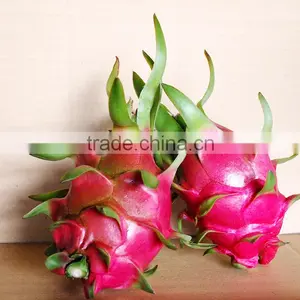 FRESH DRAGON FRUIT - FROZEN PINK PITAYA thumbnail-3