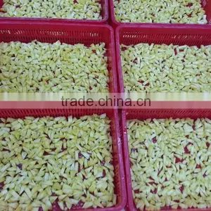 Best Quality Frozen Pineapple From Vietnam thumbnail-2