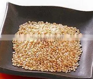 Organic White Sesame thumbnail-1