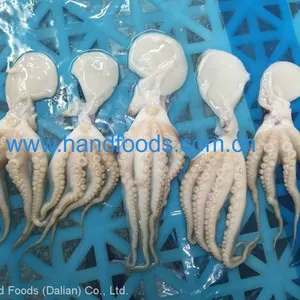 Frozen Cleaned Baby Octopus thumbnail-3