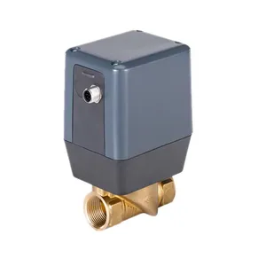 BURKERT 3285 Motorized Disc Control Valve DN 15-25 Kvs 1.8-9.6 Ceramic Seat 0-6 Bar Stepper Actuator 24 V DC Brass SS Body thumbnail-1
