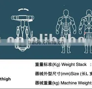 Best Selling Abductor Outer Thigh/ Strength Fitness Equipment / Body Building Equipment TZ-6033 Supplier's Choice thumbnail-3