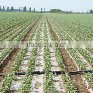 Agriculture Drip Irrigation System thumbnail-3