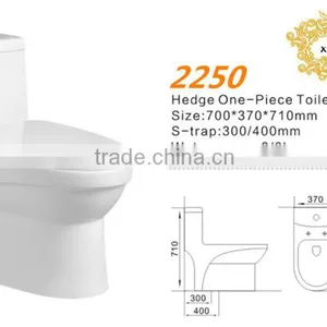 Dual Flush Ceramic Toilet Bowl wc Toilet Fish Tank Unit Bathroom Toilet Hidden Mini Camera thumbnail-2