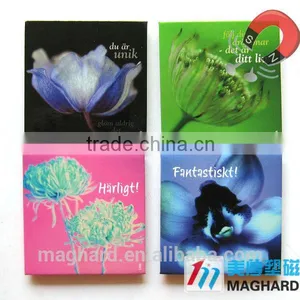 Indian Tourist Souvenir Iron Fridge Magnets thumbnail-3
