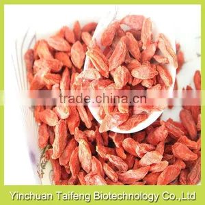 Organic Dried Goji Fruit thumbnail-3