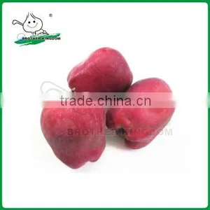 Huaniu Apple/ Red Delicious Apple thumbnail-1