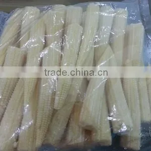 Organic Fresh Baby Corn thumbnail-2