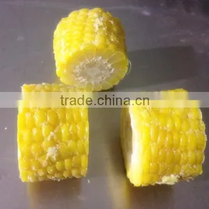 Frozen IQF Whole Sweet Corn and Cob thumbnail-2