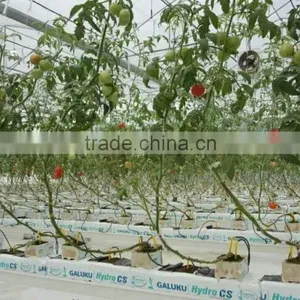 Tomato Cucumber Planting Bar Greenhouse Soilless Cultivation Rock Sliver thumbnail-3