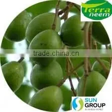 Neem Oil Extract thumbnail-6