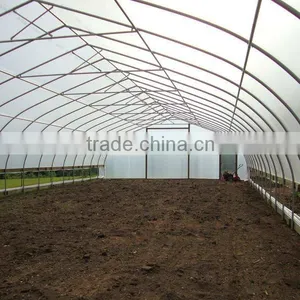 Tunnel Gothic Greenhouse thumbnail-1